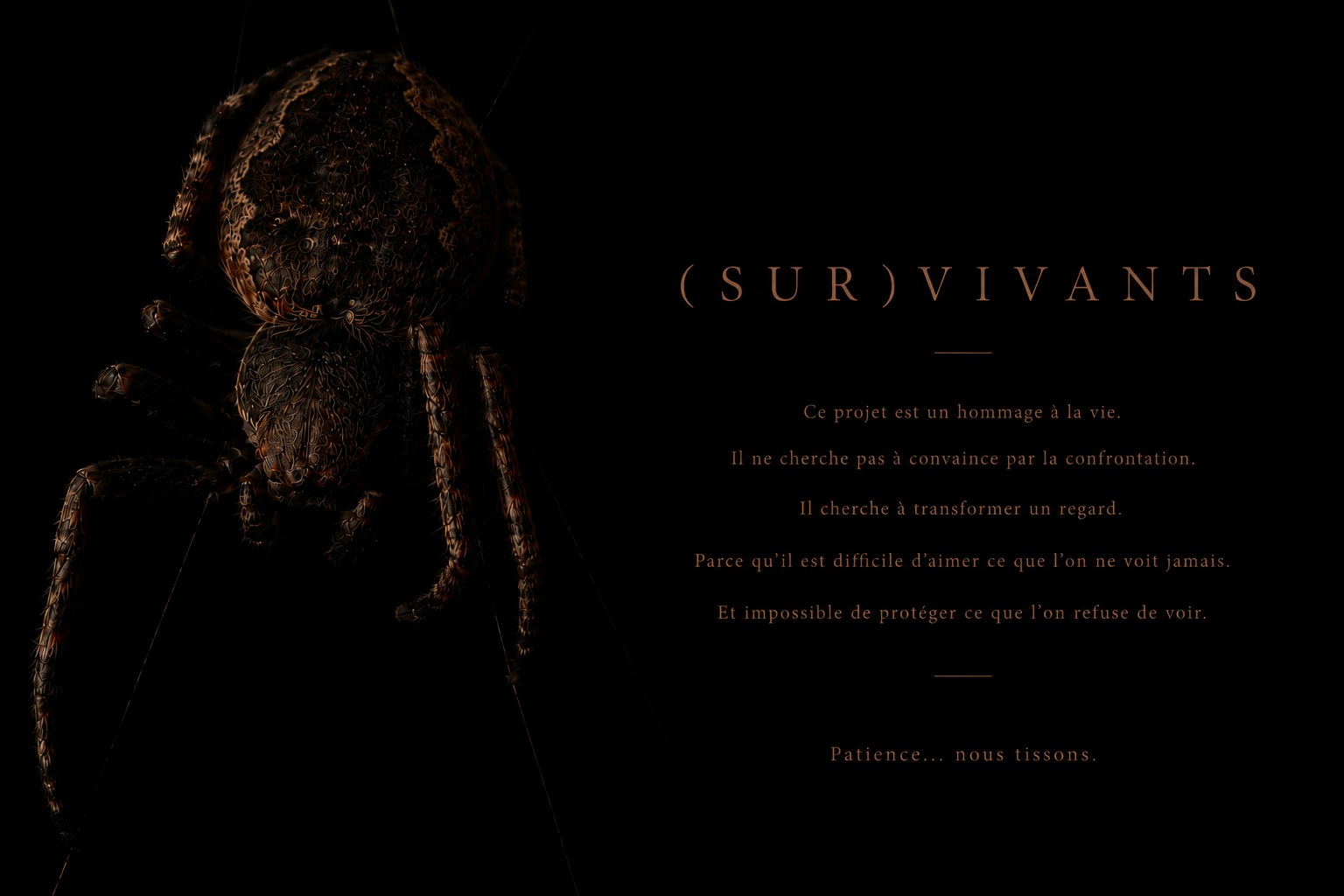 (SUR)VIVANTS — Ce projet est un hommage à la vie.
